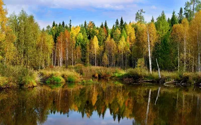 Осень пейзаж, лес, пруд фото, обои на рабочий стол