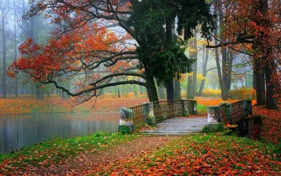 Осенние пейзажи на рабочий стол - 53 фото