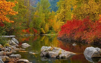 Осенний пейзаж обои - 67 фото