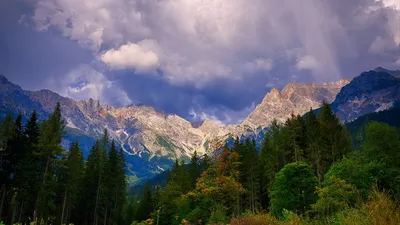Обои горы, деревья, облака, горный пейзаж, осень, осенний пейзаж картинки  на рабочий стол, фото скачать бесплатно