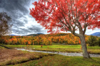 Обои на рабочий стол Осень, речка, деревья, поле, пейзаж, autumn, river -  Природа - Картинки, фотографии