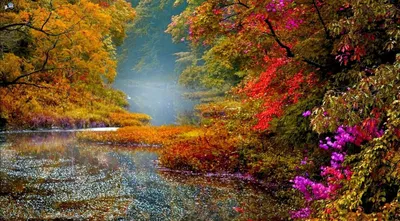 Фото гора Осень Природа Пейзаж река