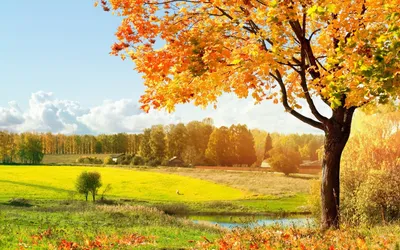 Обои осень пейзаж красивая природа на рабочий стол