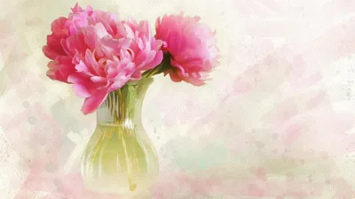 Обои Цветы Пионы, обои для рабочего стола, фотографии цветы, пионы, розовый  Обои для рабочего стола, скачать обои картинки заставки на рабочий стол.