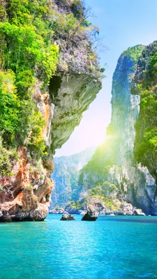 Phuket Sandbox: лучший отдых в Таиланде в 2021 - union.travel