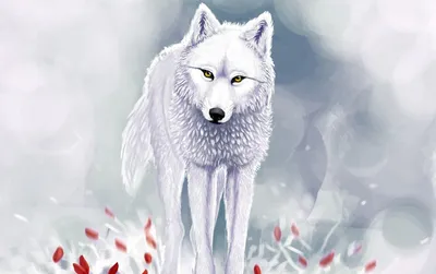 Картинки животные, хищники, волки, волчица, детёныш, волчонок, природа -  обои 1680x1050, картинка №249046