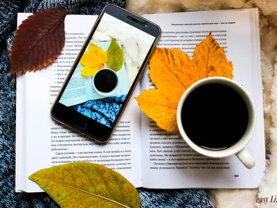 Скачать обои осень, листья, кофе, книга, телефон, плед, свитер, book,  раздел разное в разрешении 1600x1200
