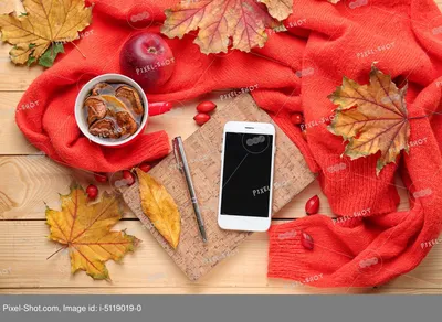 Осень, листья и Смешарики: Обои на телефон к сентябрю - YouLoveIt.ru