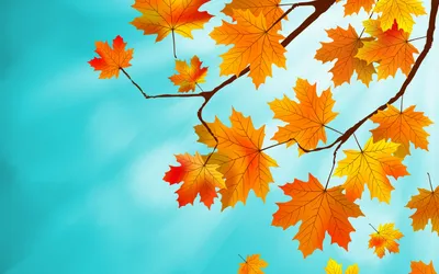 Пин от пользователя Galya_koks на доске Осень в 2023 г | Осенние картинки,  Осень, Осенние листья