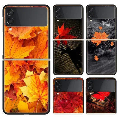 Обои Листья Природа осенние Орехи Доски Листва Осень | Листья, Осень, Обои