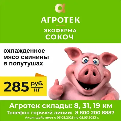 26+ Свинья обои на телефон от vil.ermakov
