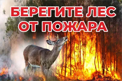 Как нарисовать рисунок(плакат) на тему \"Пожарной безопасности\" \"Берегите лес!\"/\"Бережіть  ліс!\" - YouTube