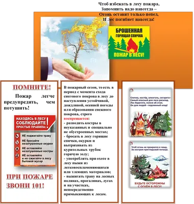Противопожарный плакат \"Берегите лес от пожара\" (арт. БЛ-42) купить в  Самаре с доставкой: цены в интернет-магазине АзбукаДекор