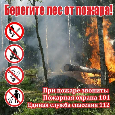 Листовка на тему: \"Береги лес от пожара\".