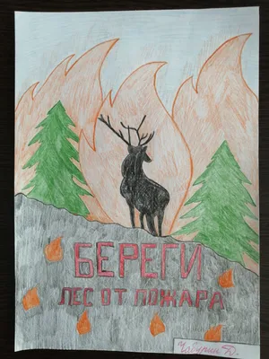 Конкурс рисунков «Берегите лес от пожара» | МБДОУ \"Детский сад \"Подснежник\"