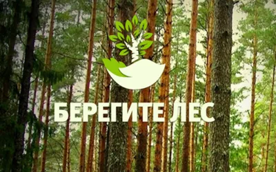 https://prorisuem.ru/risunki-na-temu-les-boitsia-ognia.html