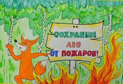 Береги и охраняй природу (арт. БЛ-34) плакаты берегите лес от пожара купить  по цене от 1 150.00 руб. в интернет магазине с доставкой