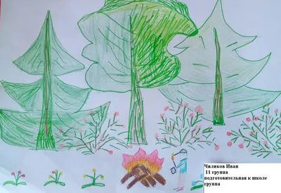 Берегите лес от пожаров | МБОУ «Основная общеобразовательная школа №4», г.  Биробиджан.