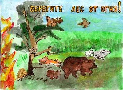 Красивые рисунки на тему Берегите лес от пожара (23 шт)