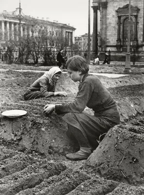 Картинки на тему блокадный ленинград фотографии