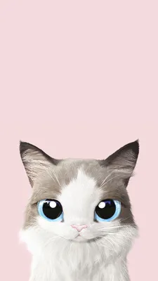 Заставка на телефон кот | Cat wallpaper, Iphone wallpaper inspirational,  Watercolor wallpaper iphone