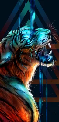 Заставка тигр, хищник, большая кошка на экран · бесплатная фотография