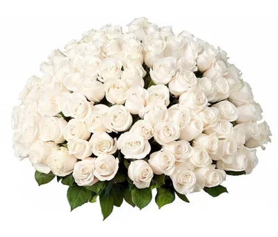 Картинки с 8 марта белые розы фотографии