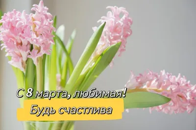 Девчонки, с праздником 8 марта -исп.Александр Закшевский - YouTube