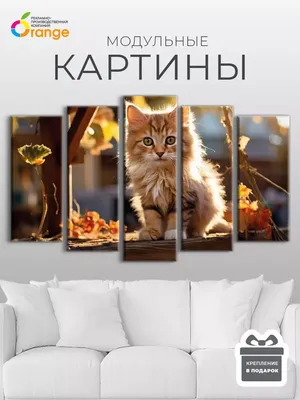 Кашпо ящик с котятами | доставка по Москве и области