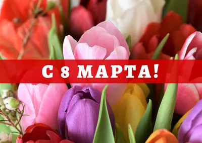 Открытка \"Учительнице, 8 марта!\" глиттер, тюльпаны (1305347) - Купить по  цене от 25.80 руб. | Интернет магазин SIMA-LAND.RU