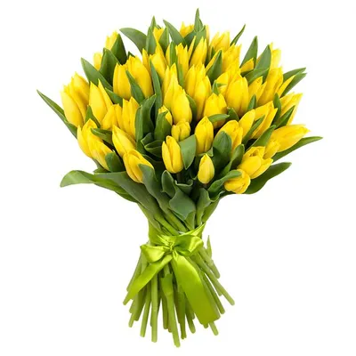 Картинки с 8 марта желтые тюльпаны фотографии