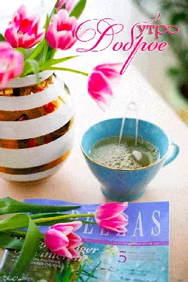 Открытка с добрым утром с цветами — Slide-Life.ru
