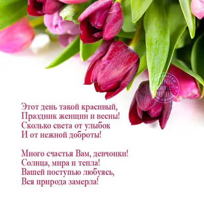 Пряники на 8 марта — купить по цене 220 руб. | Интернет магазин Promocake  Москва