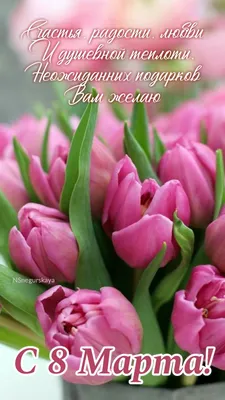 Символика и значение цветов на 8 марта | Дом | WB Guru
