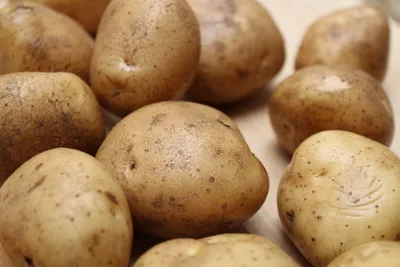 В Калужской области началась посадка картофеля