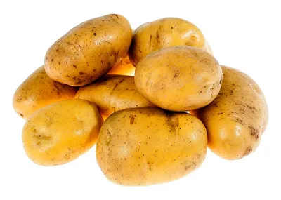 Выбор картошки для жарки по цвету кожуры оказался мифом - МК