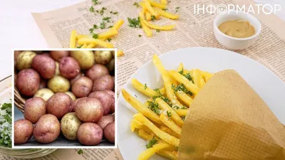 Будни в деревне #22 Копаем картошку, сорт /Аврора/ - YouTube