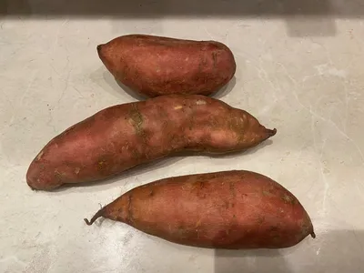 Батат (сладкий картофель) - овощ №1, описание, фото, польза, состав