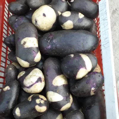 Картофель мытый, кг купить в Ростове-на-Дону - Produktoff