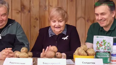 Семенной картофель от Еременко Олега: каталог, ОТЗЫВЫ