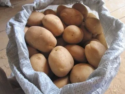 Картофель бриз фото фото