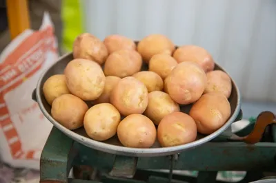 Шеф-повар королевы Елизаветы назвал ошибки в приготовлении картофеля,  которые делают все — УНИАН
