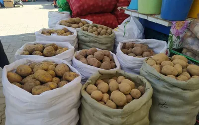 Пикабу - Всё это — картофель, который выращивают в Перу.... | Facebook