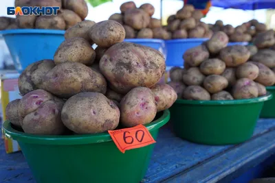 Продам картофель сортов иван да марья, синеглазка - Луганская обл —  Agro-Ukraine