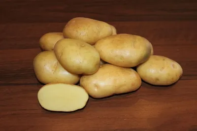 Продам картофель! Сорт - Иван да Марья, Сумская обл — Agro-Ukraine
