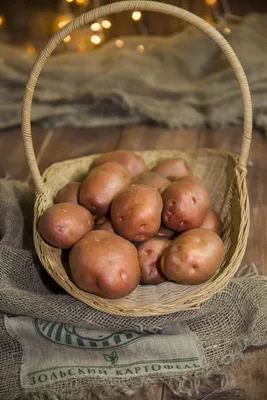 Кураж — Зольский картофель — Официальный сайт