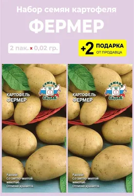 Купить картошку семенную в дагестане — купить по низкой цене на Яндекс  Маркете