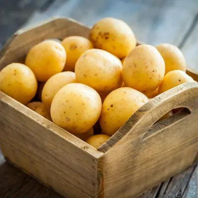 Почему возник дефицит картошки для фастфуда - Российская газета