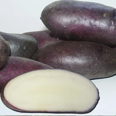 Не хотите, чтобы картофель был водянистый? Изучаем лунный посевной  календарь на 1–15 сентября - Минск-новости