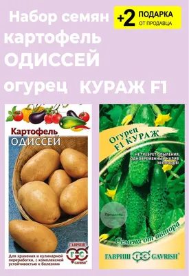 Картофель, Огурцы Проверенные семена Одиссей1 - купить по выгодным ценам в  интернет-магазине OZON (737194917)